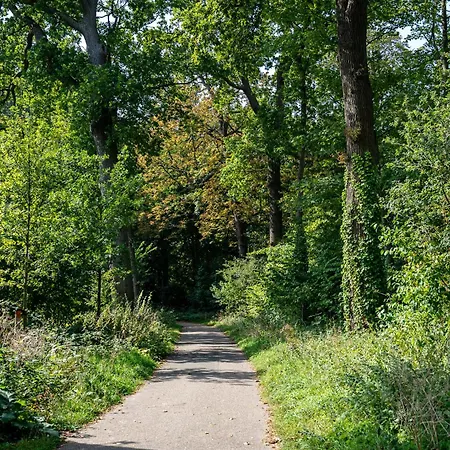 Hoevevoorde 3* Rijswijk