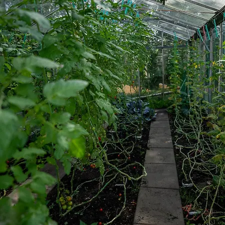 Hoevevoorde 3* Rijswijk