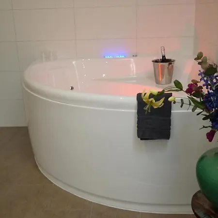 Hoevevoorde מלון 3*