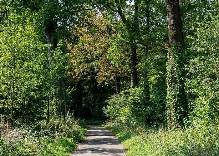 Hoevevoorde 3* Rijswijk