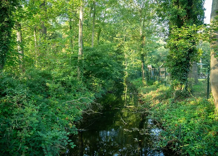 酒店 Hoevevoorde 赖斯韦克