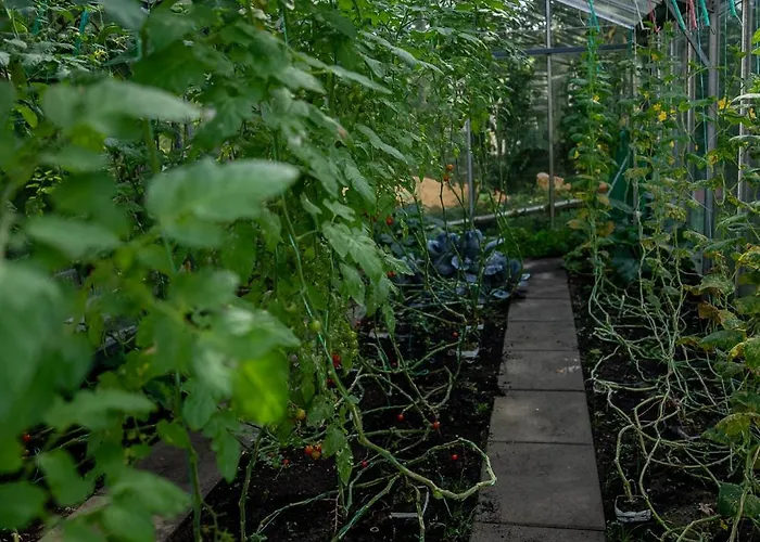 Hoevevoorde 3* 赖斯韦克