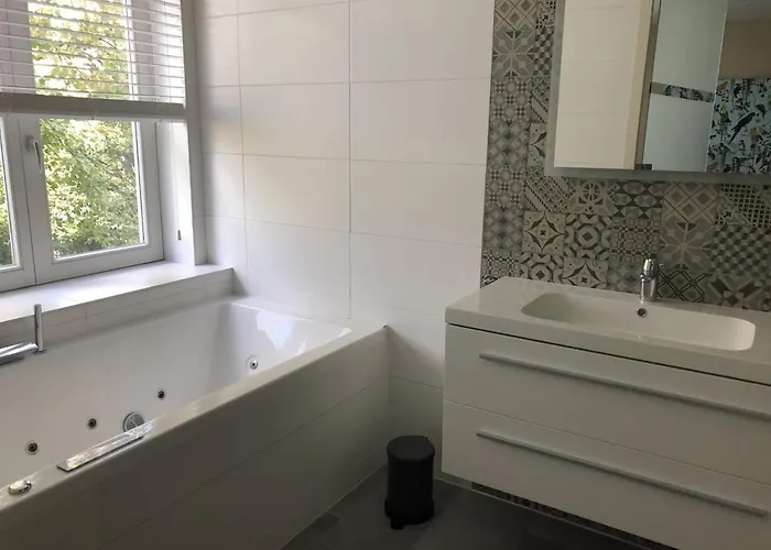 酒店 Hoevevoorde 赖斯韦克