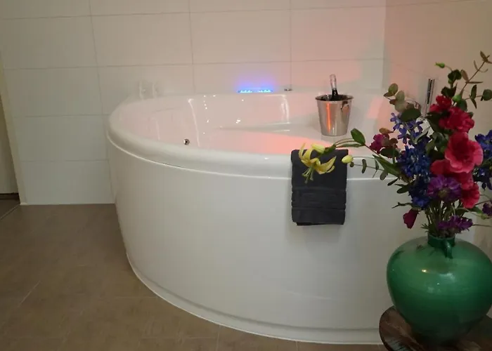 Hoevevoorde 酒店 3*