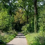 Hoevevoorde 3* Рейсвейк