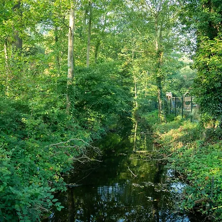 فندق Hoevevoorde رايسفايك